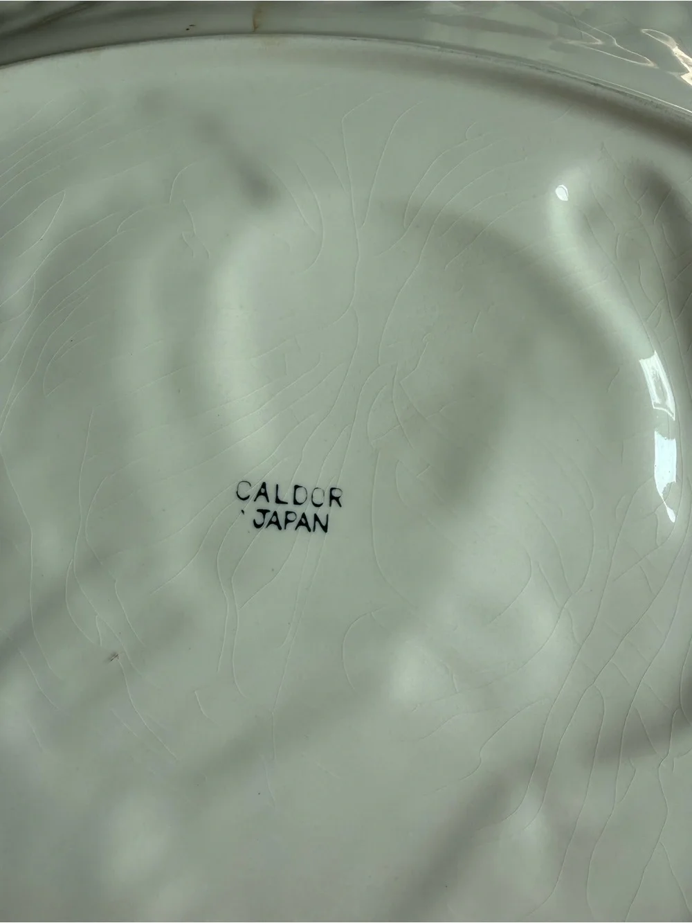 Caldor Japan Ceramic Turkey Serving Platter in Cream, Brown, Green and Red
